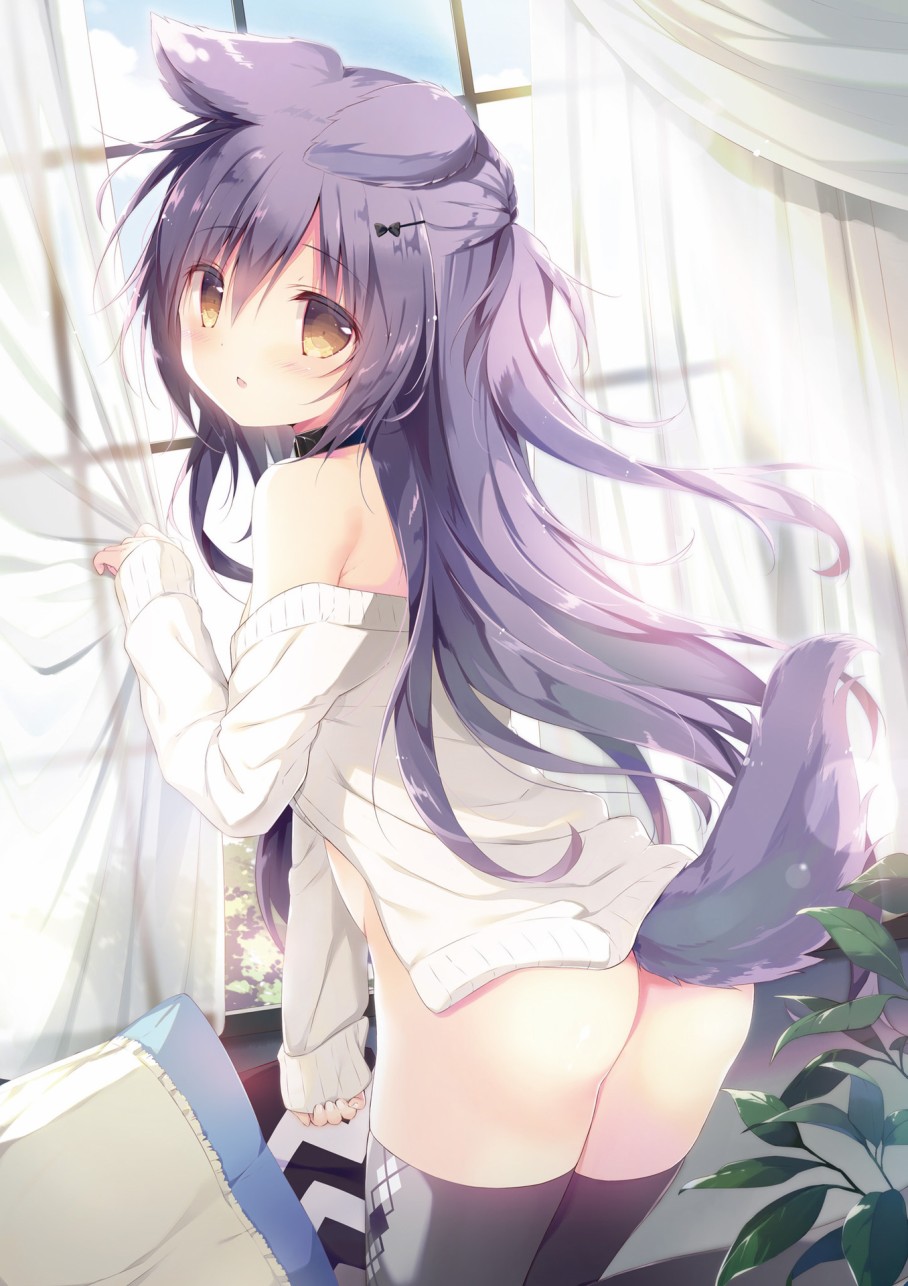 しらたま画集 Little Comet韩漫全集-全一卷无删减无遮挡章节图片 