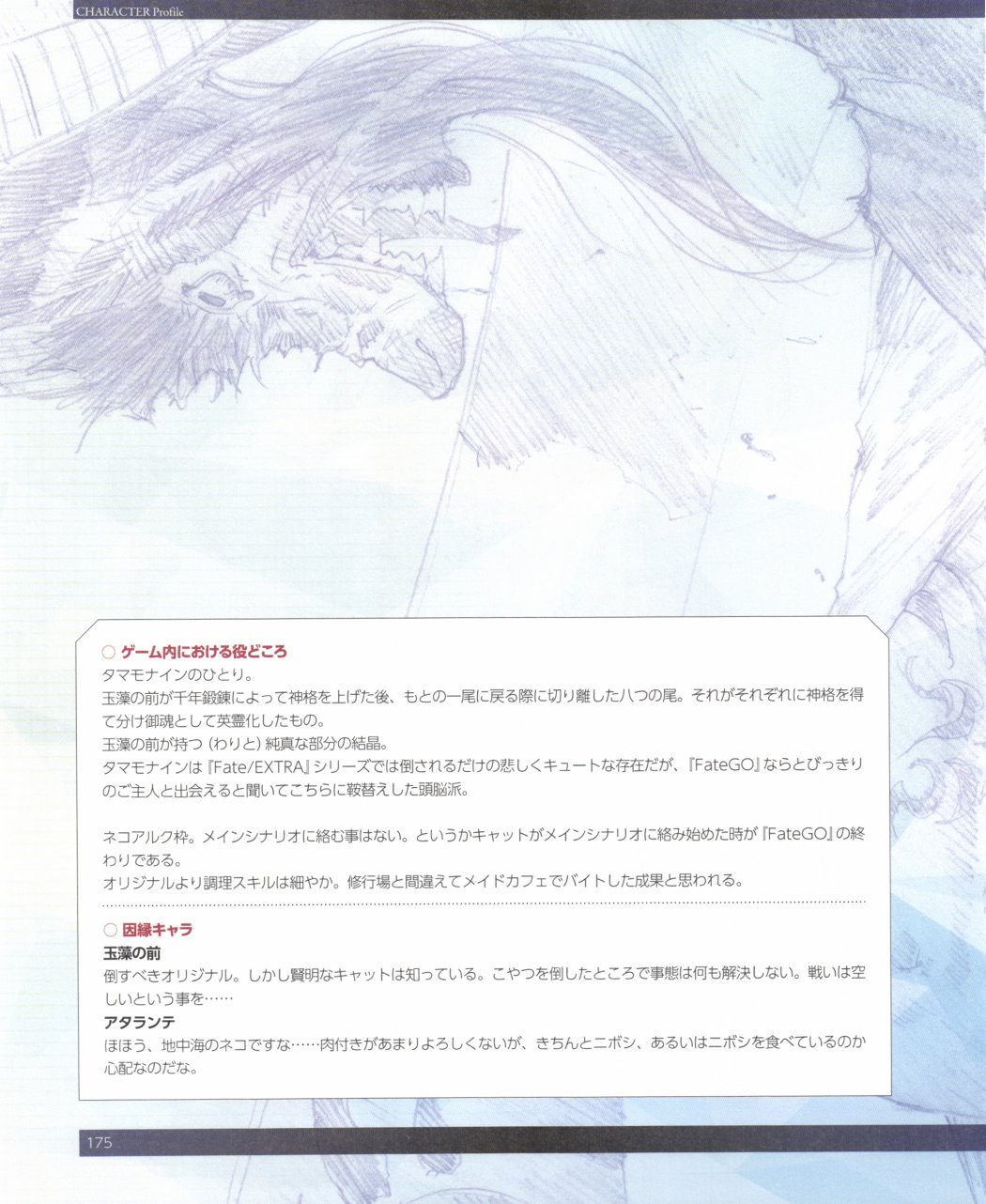 命运/冠位指定官方设定集韩漫全集-第02卷无删减无遮挡章节图片 