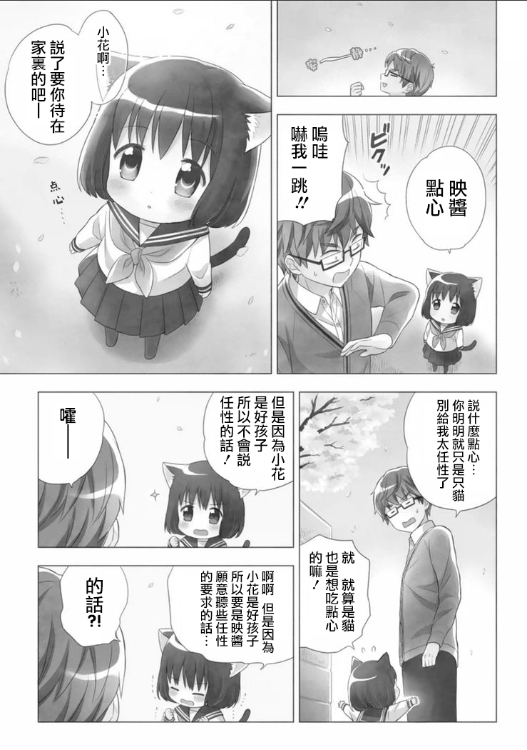 猫咪小花韩漫全集-第01话无删减无遮挡章节图片 