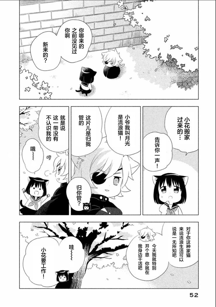 猫咪小花韩漫全集-第04话无删减无遮挡章节图片 