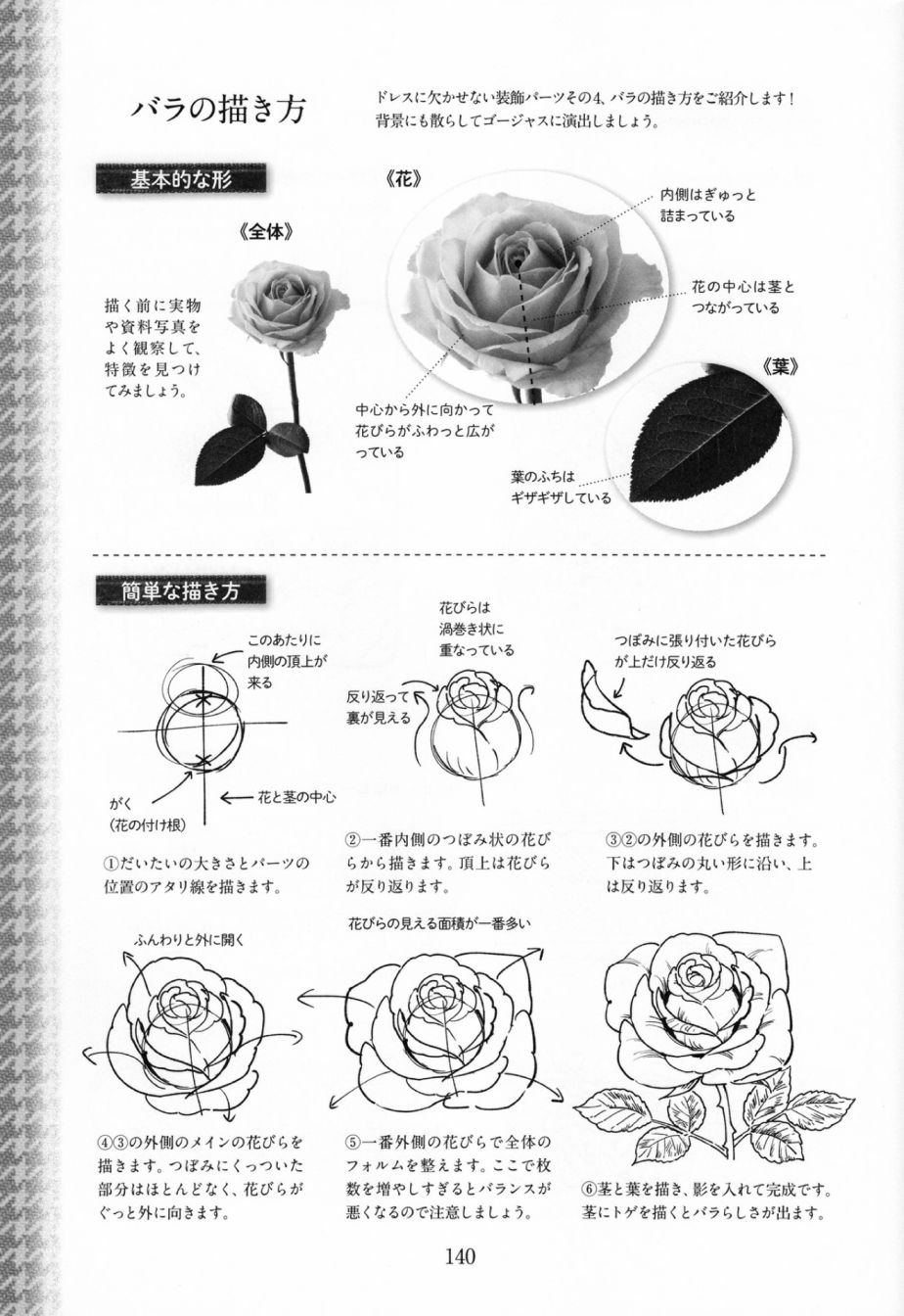华丽礼服图鉴韩漫全集-画集无删减无遮挡章节图片 