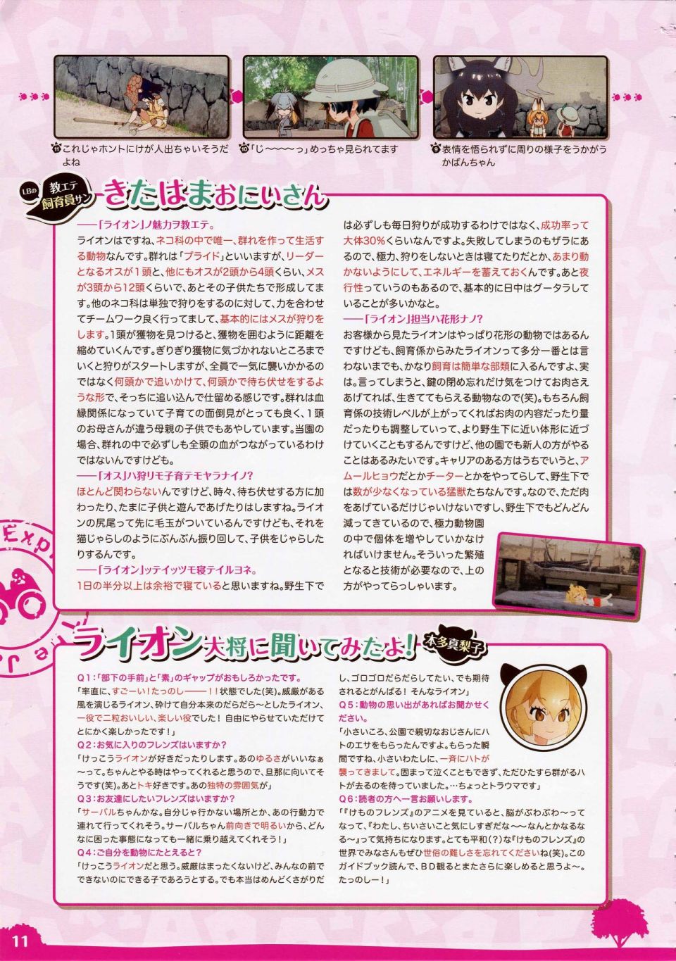 动物朋友 动画设定资料画册韩漫全集-全一册无删减无遮挡章节图片 