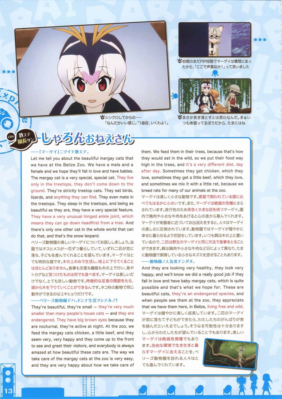 动物朋友 动画设定资料画册韩漫全集-全一册无删减无遮挡章节图片 