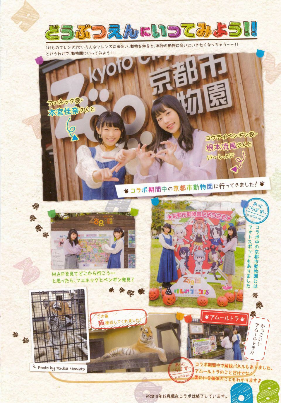 动物朋友 动画设定资料画册韩漫全集-全一册无删减无遮挡章节图片 