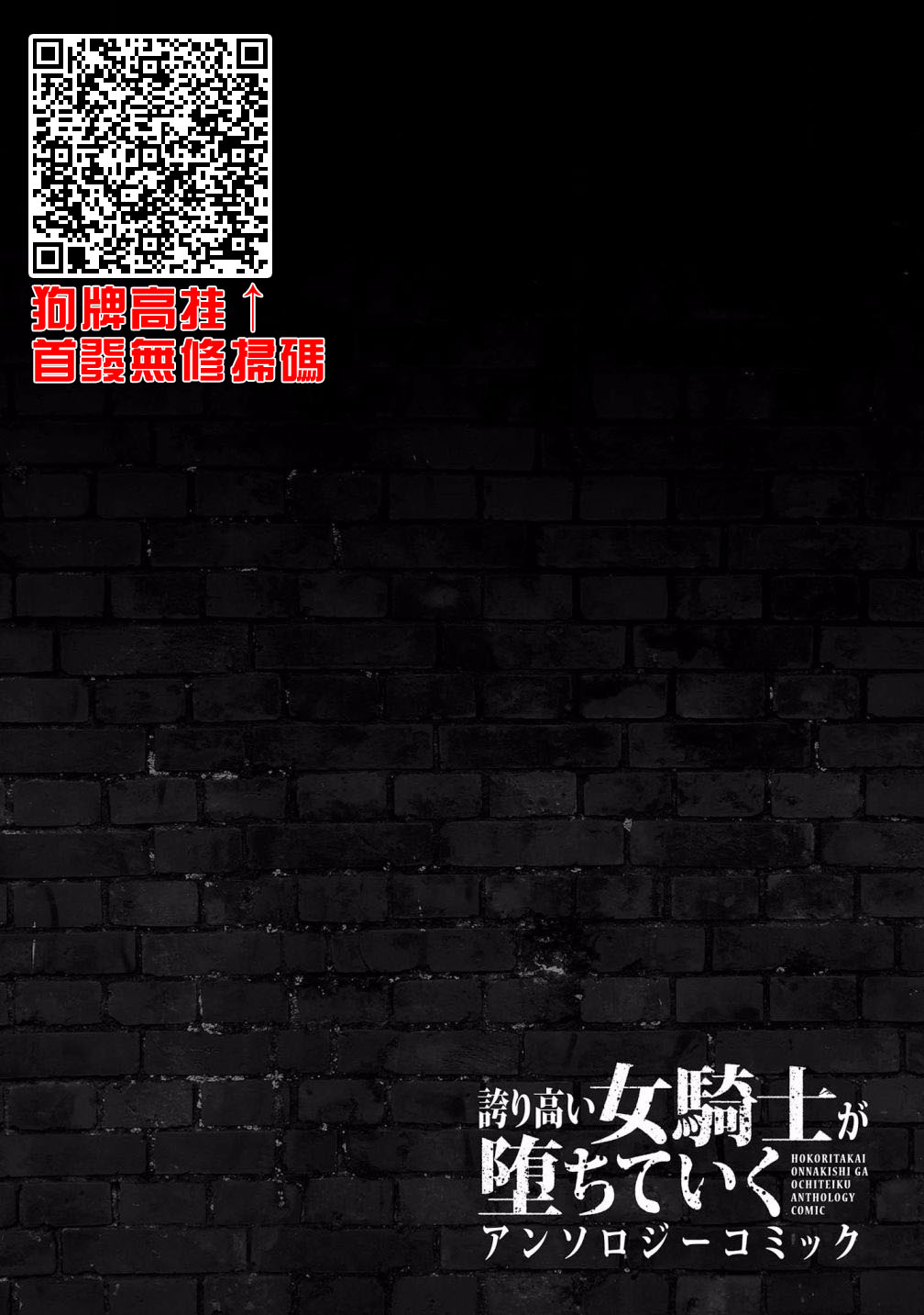 女骑士是可以做到的说！韩漫全集-短篇无删减无遮挡章节图片 