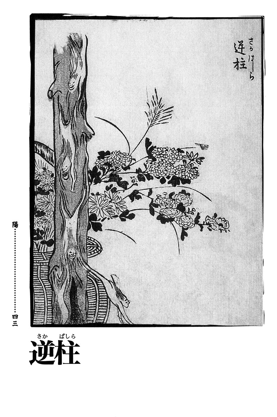 鸟山石燕 画图百鬼夜行全画集韩漫全集-全一卷无删减无遮挡章节图片 