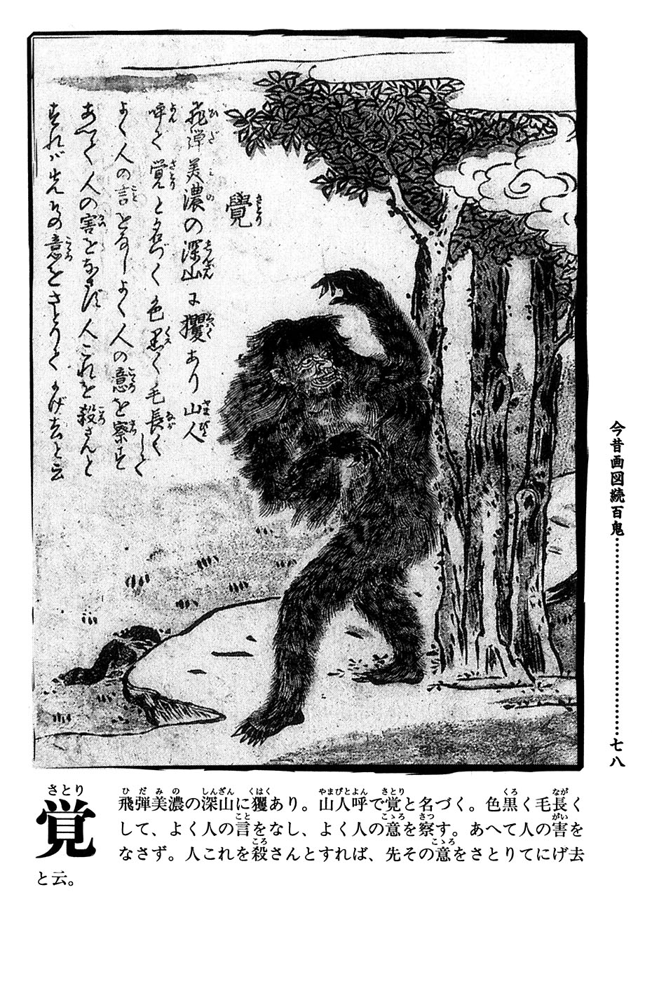 鸟山石燕 画图百鬼夜行全画集韩漫全集-全一卷无删减无遮挡章节图片 