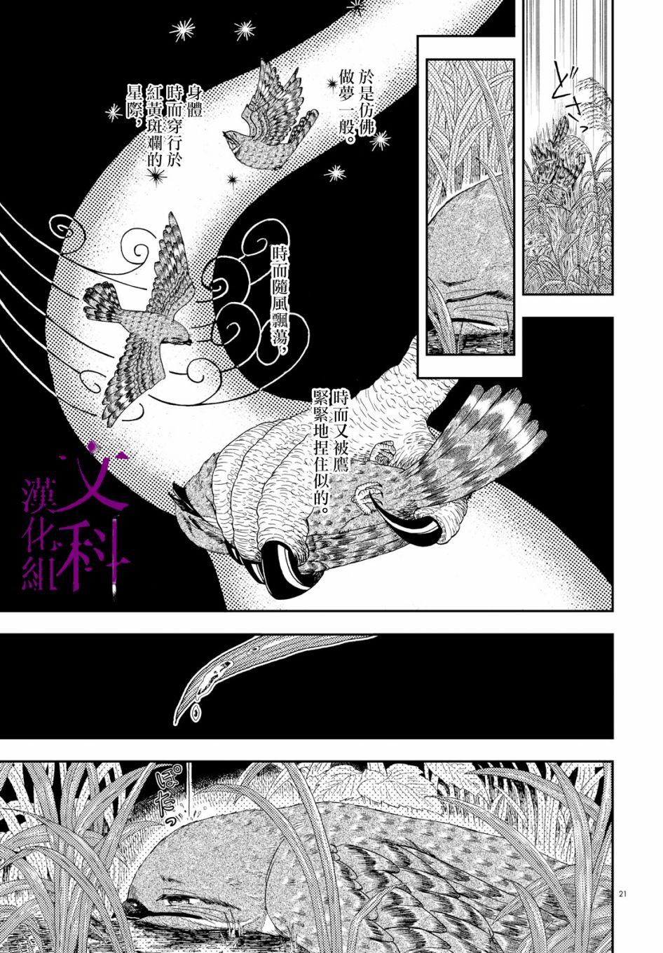 夜鹰之星韩漫全集-短篇无删减无遮挡章节图片 