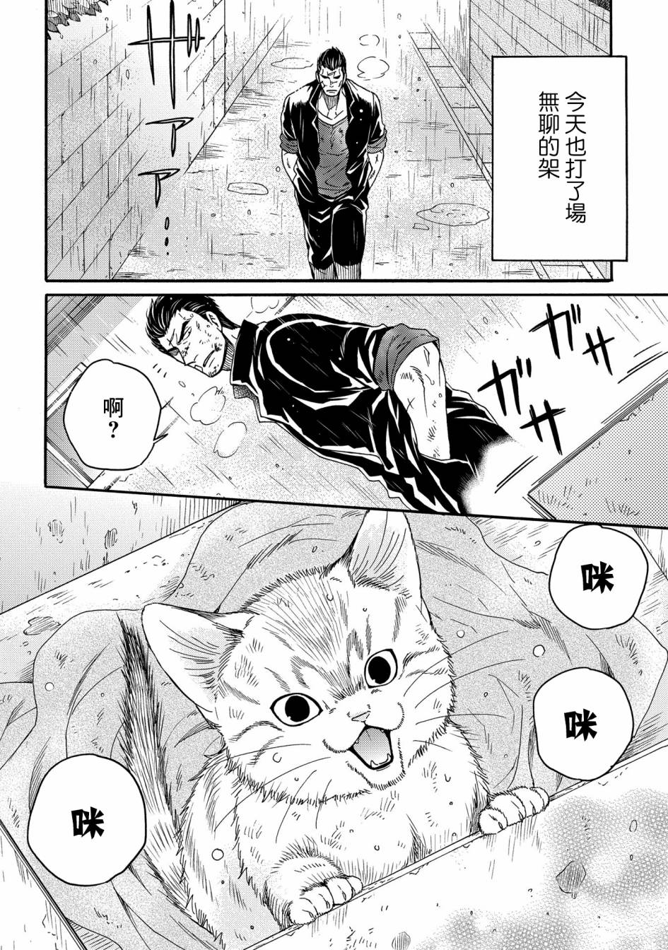 世界铲屎男士图鉴韩漫全集-第06话无删减无遮挡章节图片 