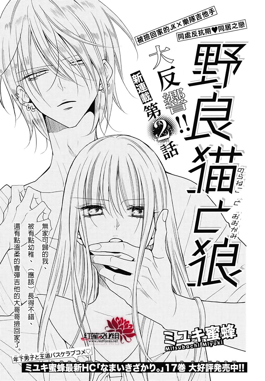 野猫与狼韩漫全集-第02话无删减无遮挡章节图片 