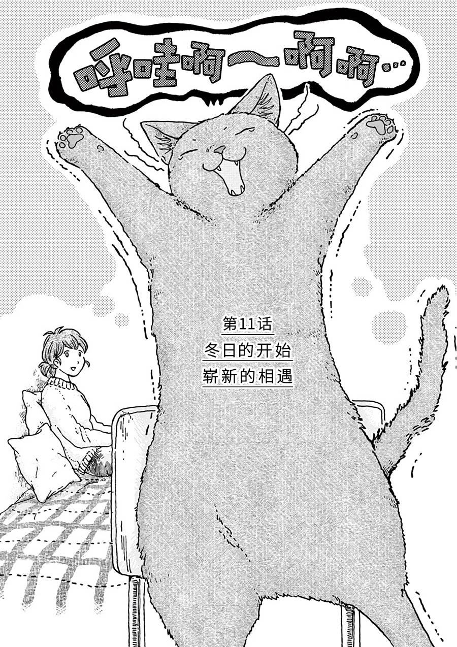 猫咪与我在德国韩漫全集-第11话无删减无遮挡章节图片 