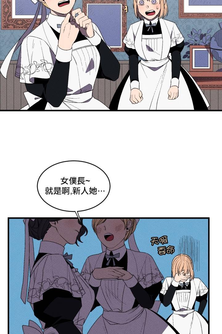 Maid in heaven韩漫全集-第03话无删减无遮挡章节图片 