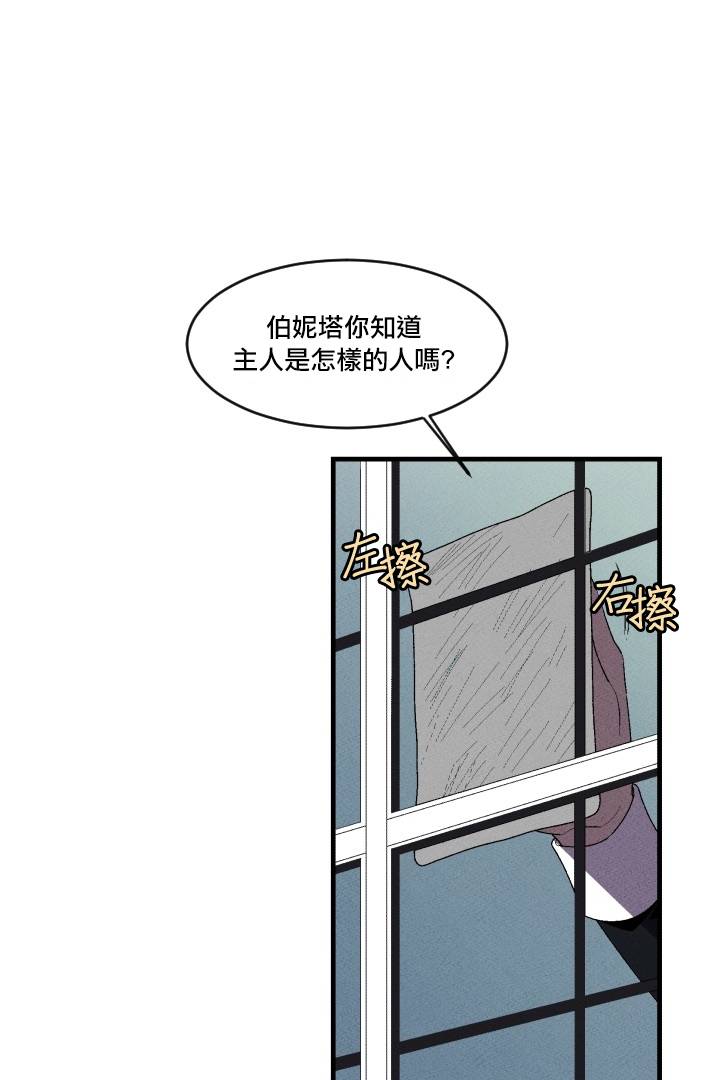 Maid in heaven韩漫全集-第04话无删减无遮挡章节图片 