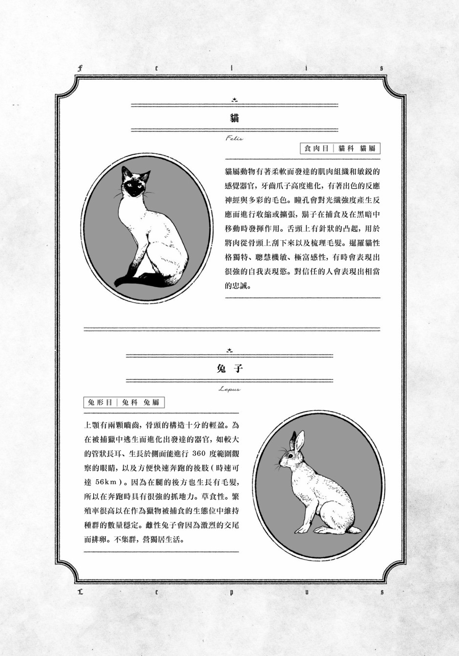 威兹德姆之兽韩漫全集-第01话无删减无遮挡章节图片 