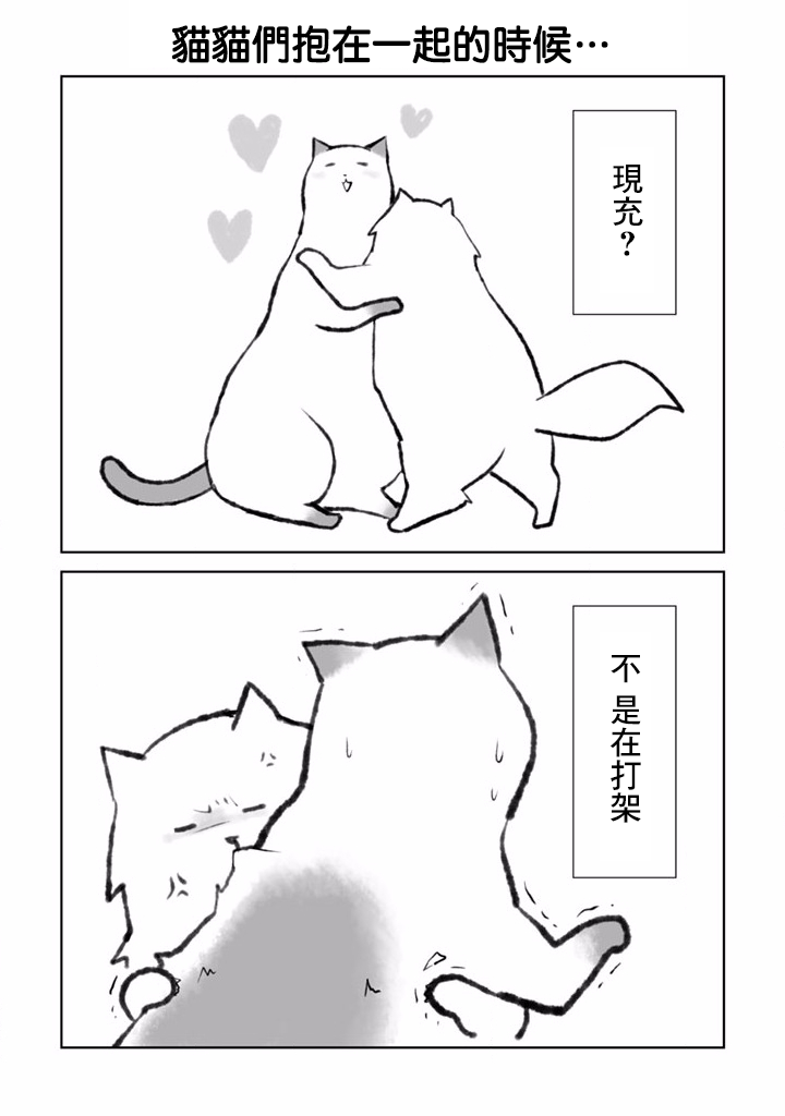 抖m猫的生活韩漫全集-第01话无删减无遮挡章节图片 