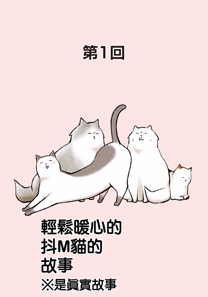 抖m猫的生活韩漫全集-第01话无删减无遮挡章节图片 