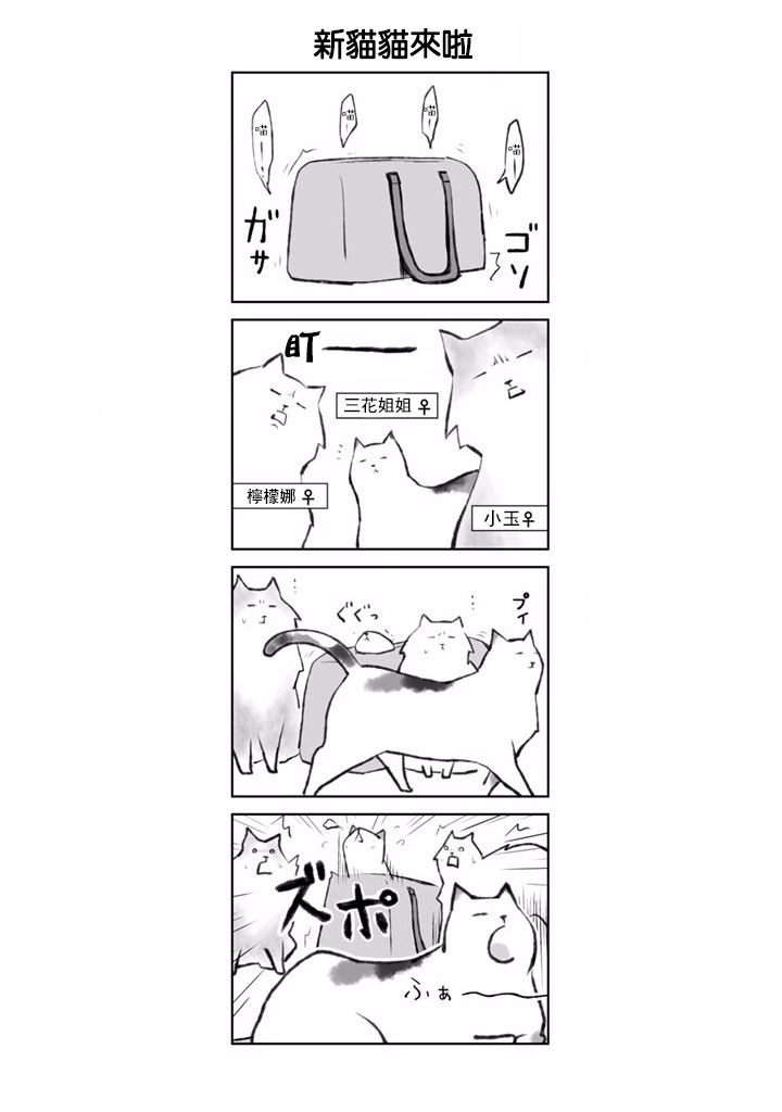 抖m猫的生活韩漫全集-第01话无删减无遮挡章节图片 
