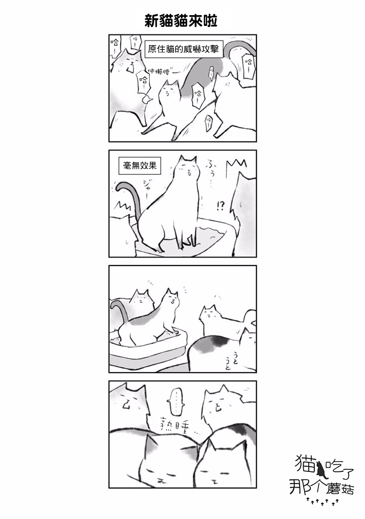 抖m猫的生活韩漫全集-第01话无删减无遮挡章节图片 