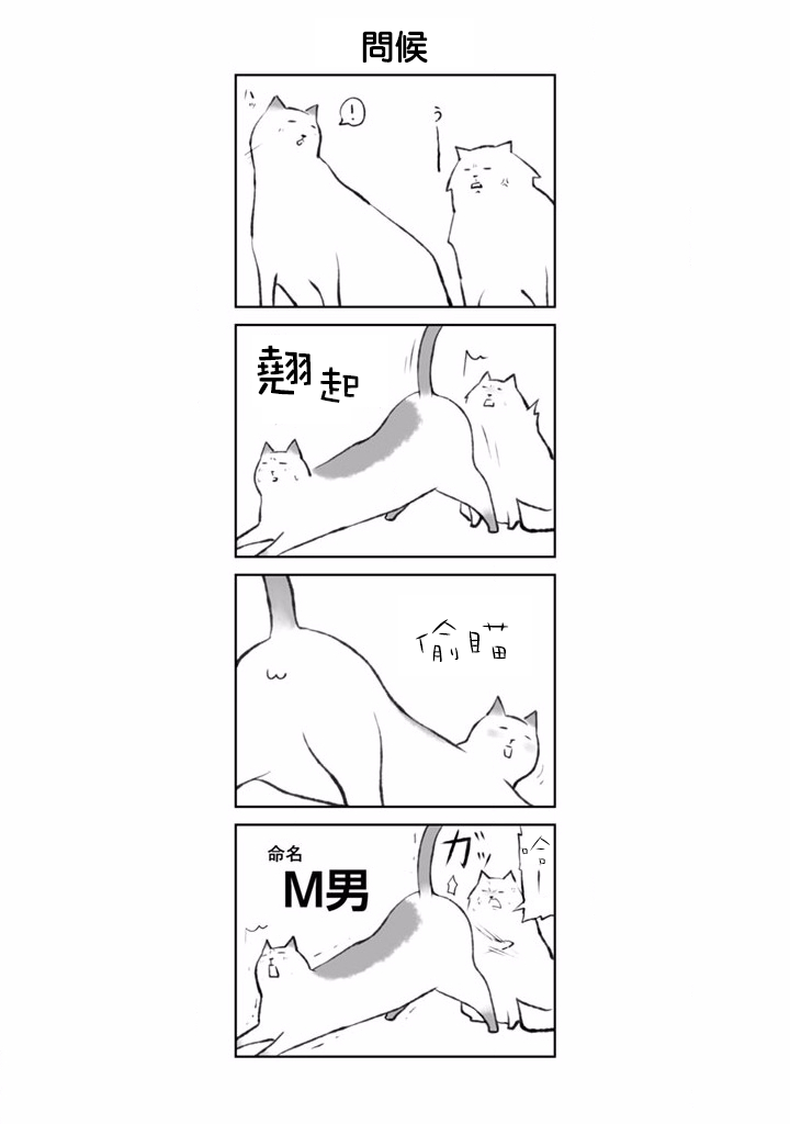 抖m猫的生活韩漫全集-第01话无删减无遮挡章节图片 