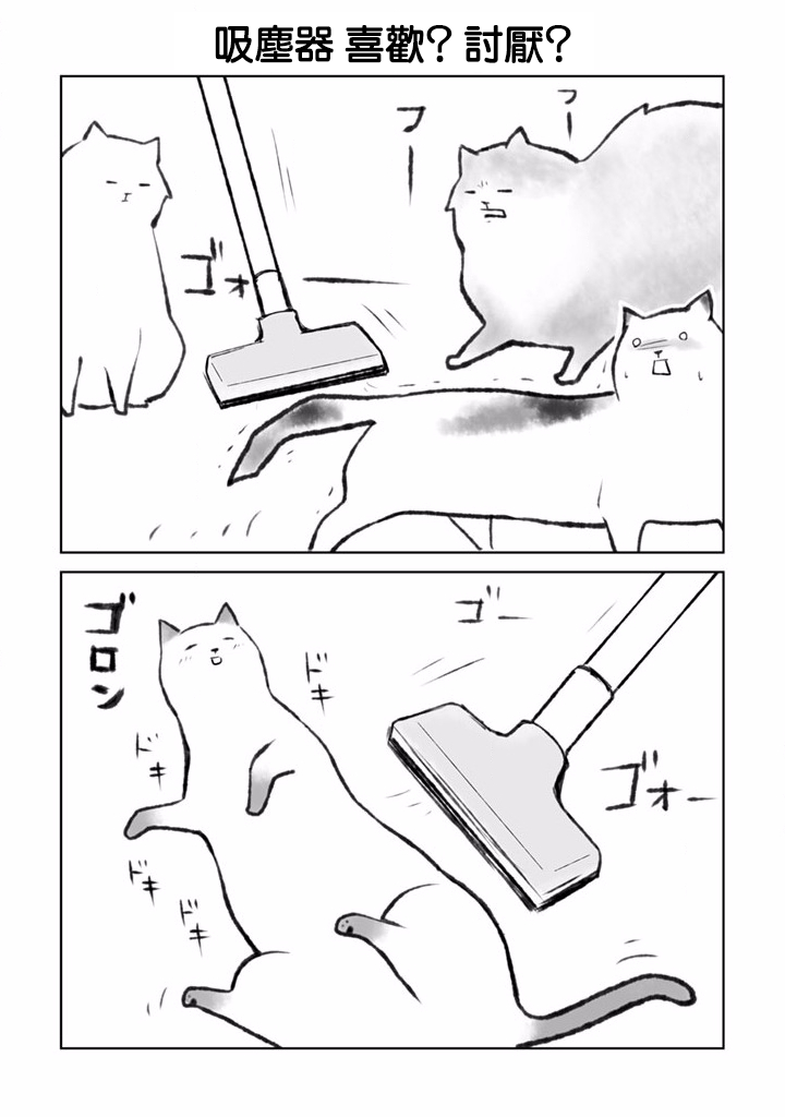 抖m猫的生活韩漫全集-第01话无删减无遮挡章节图片 