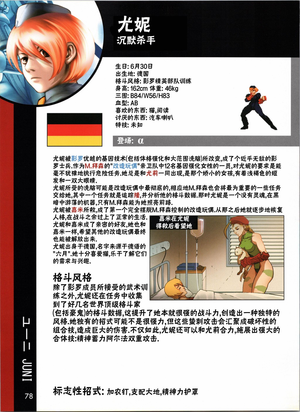 街头霸王 特刊合集韩漫全集-人物谱3无删减无遮挡章节图片 