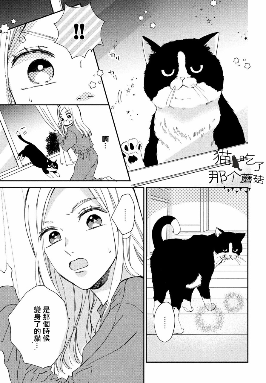 猫和亲吻韩漫全集-第01话无删减无遮挡章节图片 