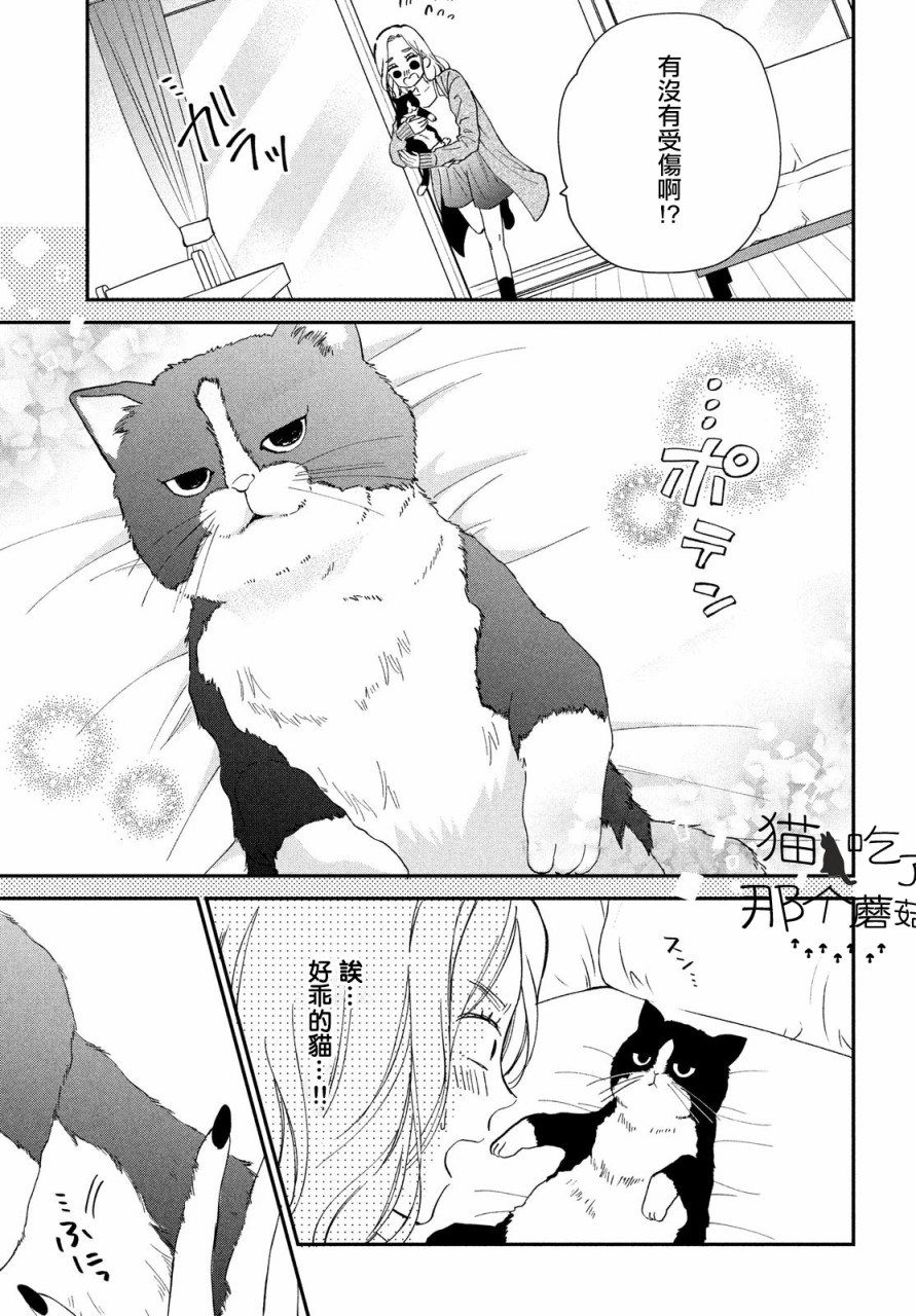 猫和亲吻韩漫全集-第01话无删减无遮挡章节图片 