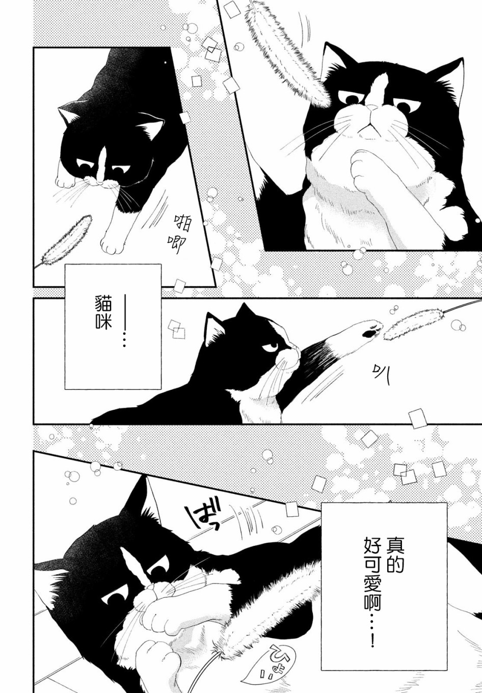 猫和亲吻韩漫全集-第02话无删减无遮挡章节图片 