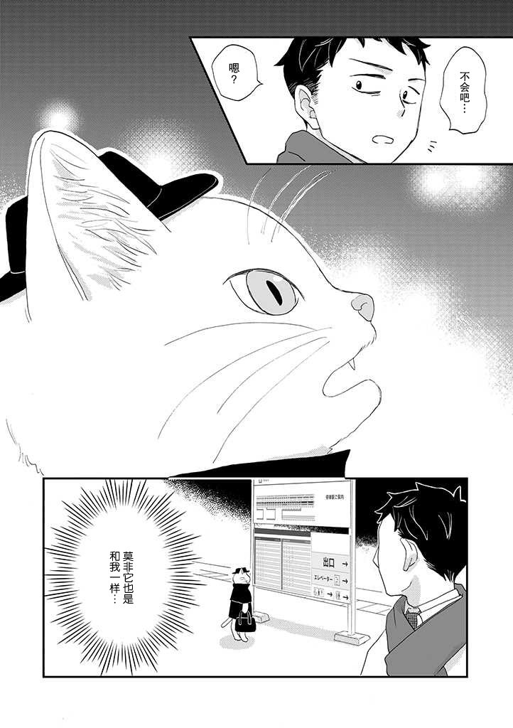 西北偏北，随猫而去韩漫全集-第02话无删减无遮挡章节图片 