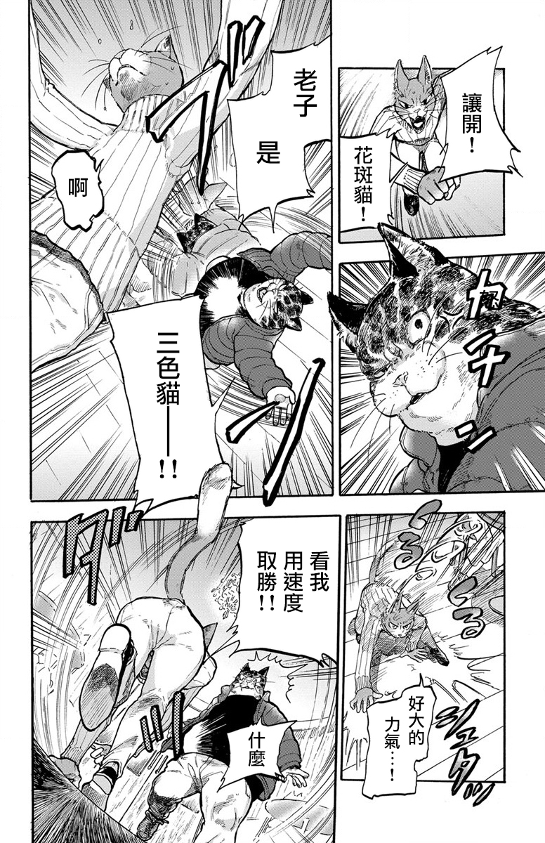 猫猫刑警韩漫全集-第01话无删减无遮挡章节图片 