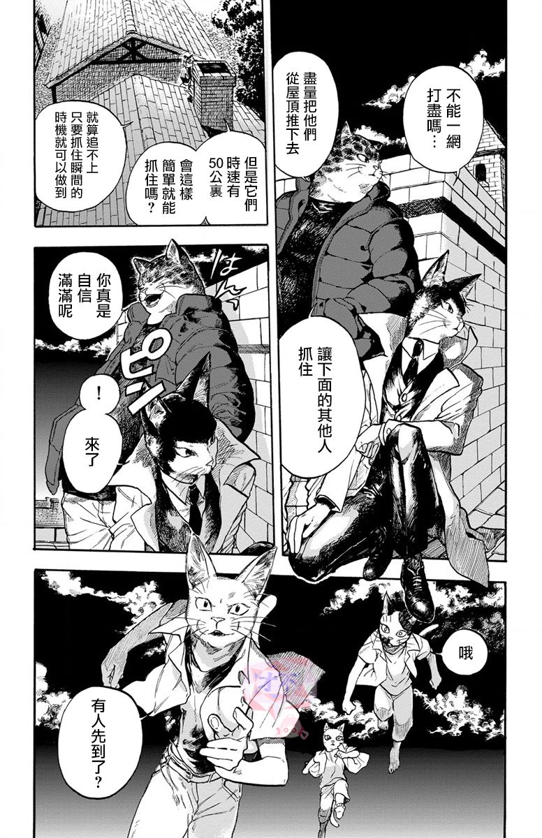 猫猫刑警韩漫全集-第02话无删减无遮挡章节图片 
