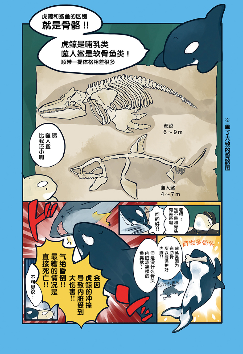 海洋动物太可爱了!韩漫全集-第02话无删减无遮挡章节图片 
