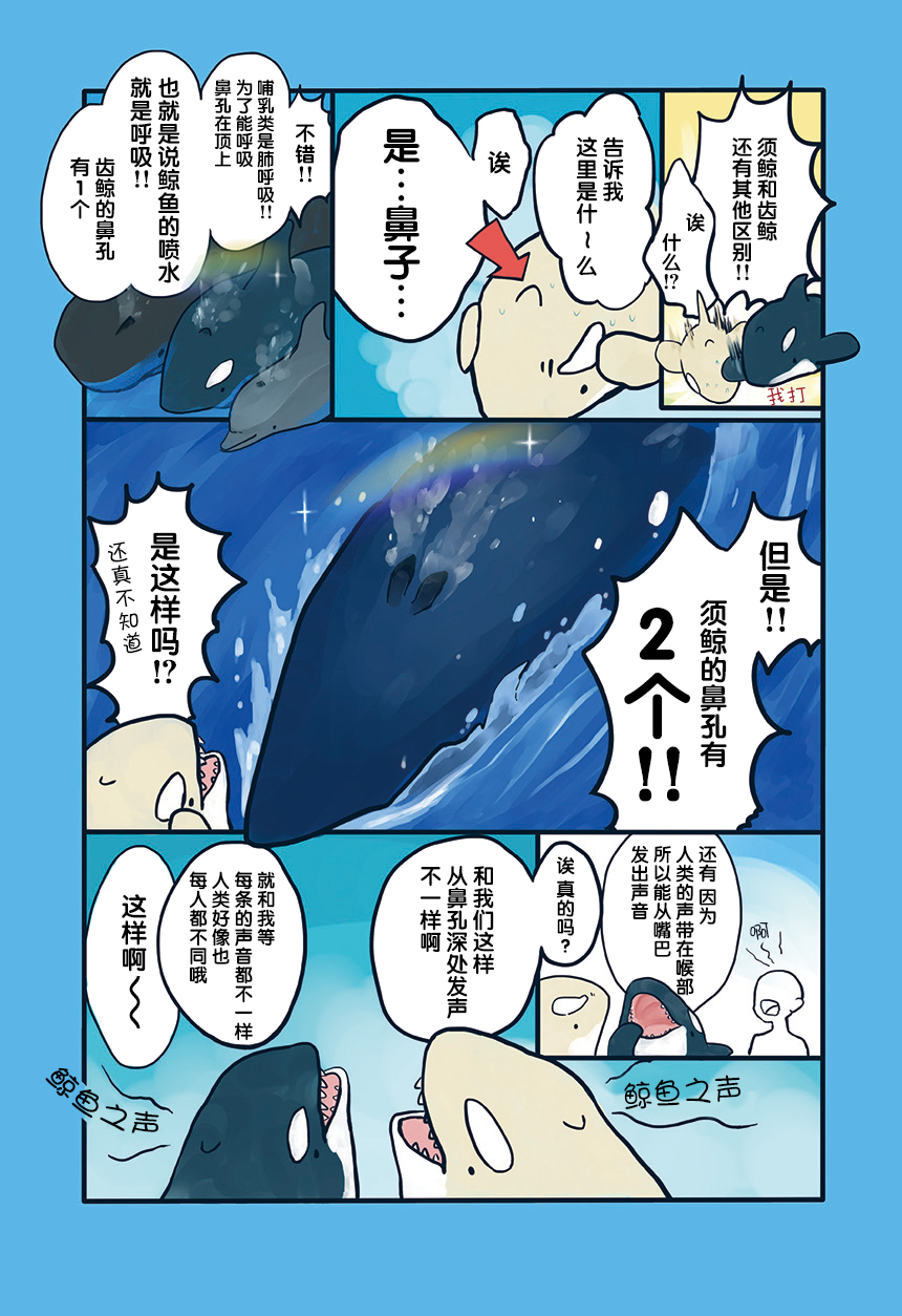 海洋动物太可爱了!韩漫全集-第03话无删减无遮挡章节图片 