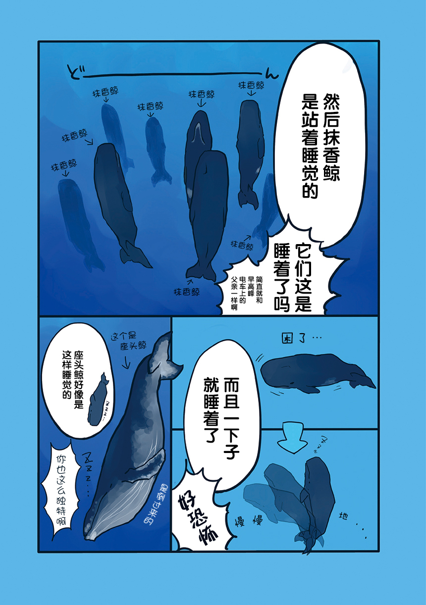 海洋动物太可爱了!韩漫全集-第07话无删减无遮挡章节图片 