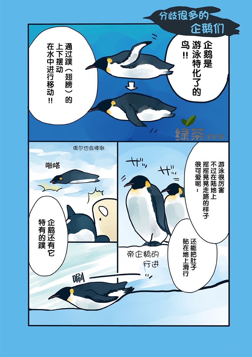 海洋动物太可爱了!韩漫全集-第08话无删减无遮挡章节图片 