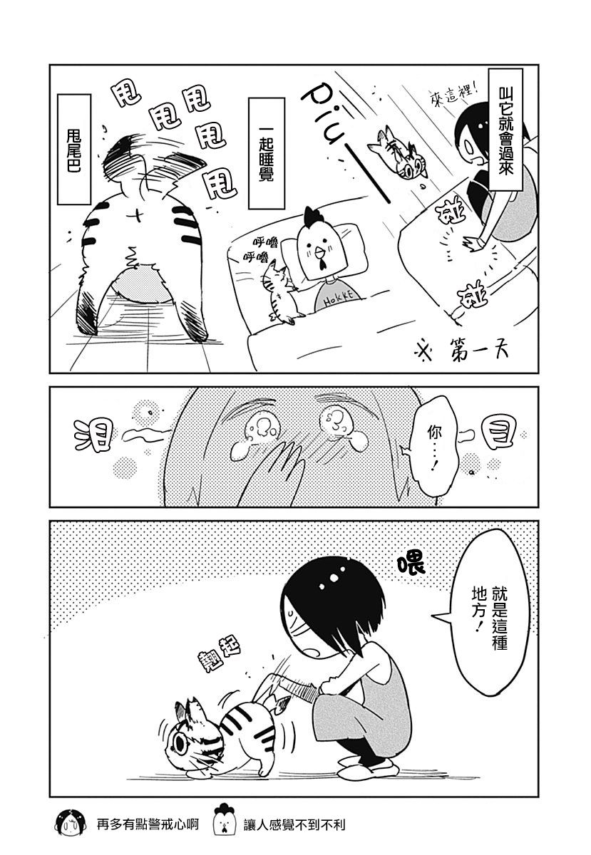 三只爪子的小蚬贝韩漫全集-第01话无删减无遮挡章节图片 