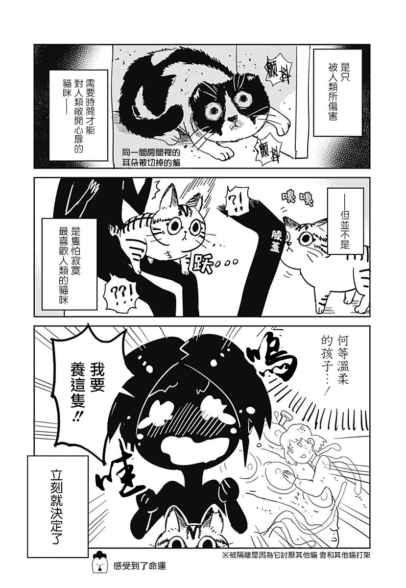 三只爪子的小蚬贝韩漫全集-第01话无删减无遮挡章节图片 