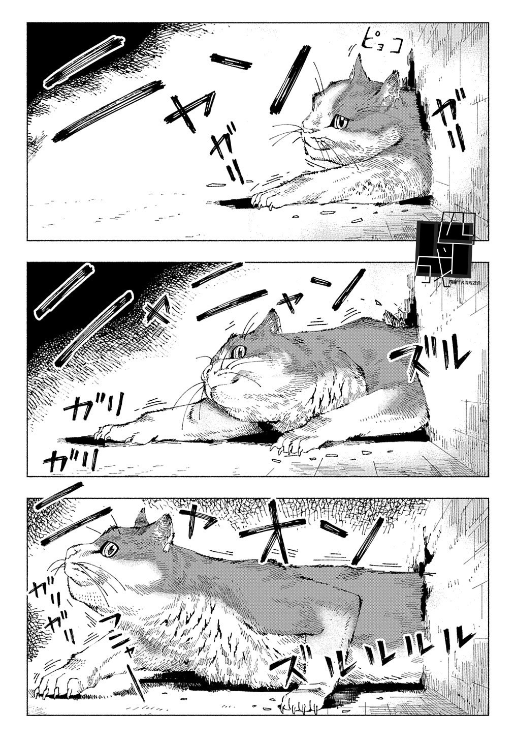 活死喵之夜韩漫全集-第01话无删减无遮挡章节图片 