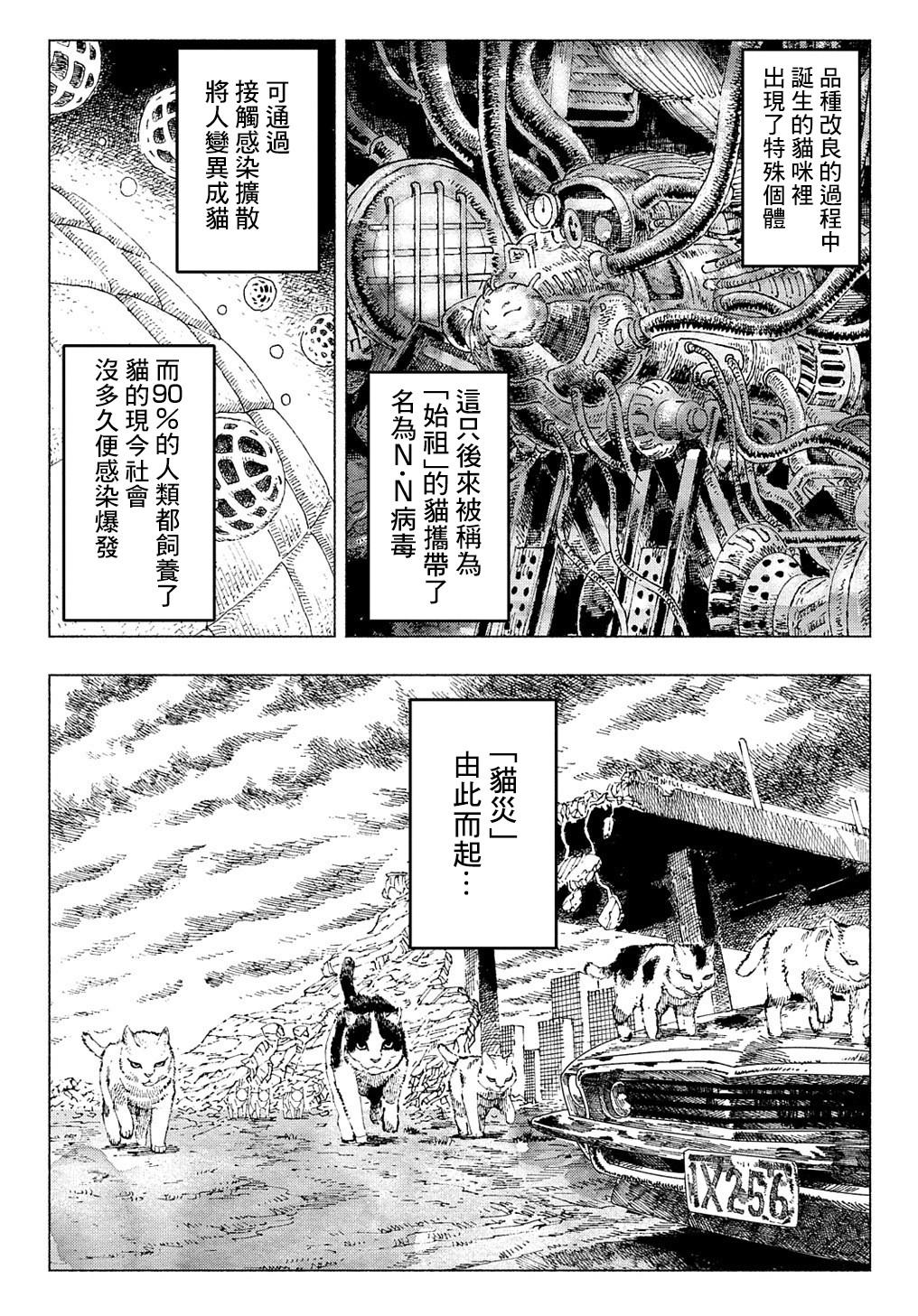 活死喵之夜韩漫全集-第01话无删减无遮挡章节图片 