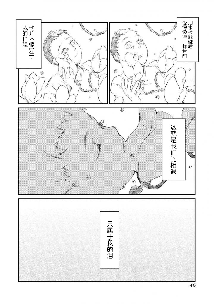 异种恋爱物语集韩漫全集-木莲无删减无遮挡章节图片 