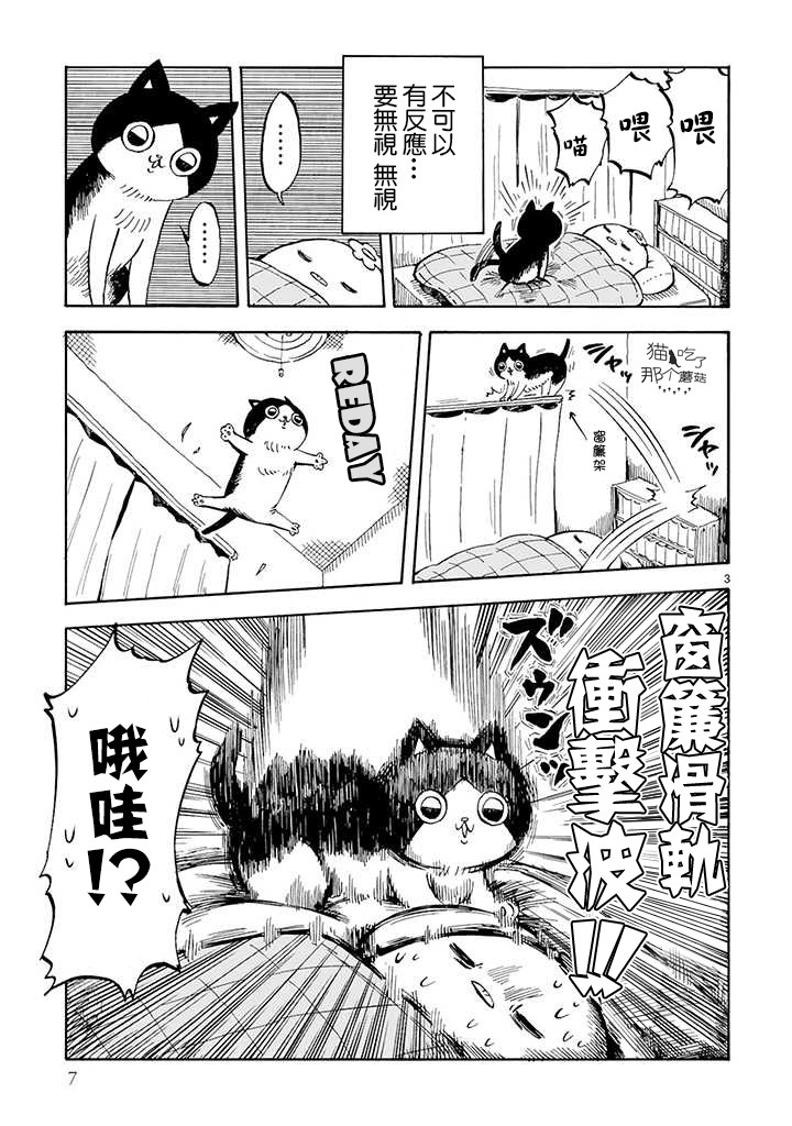 全世猫韩漫全集-第00话无删减无遮挡章节图片 