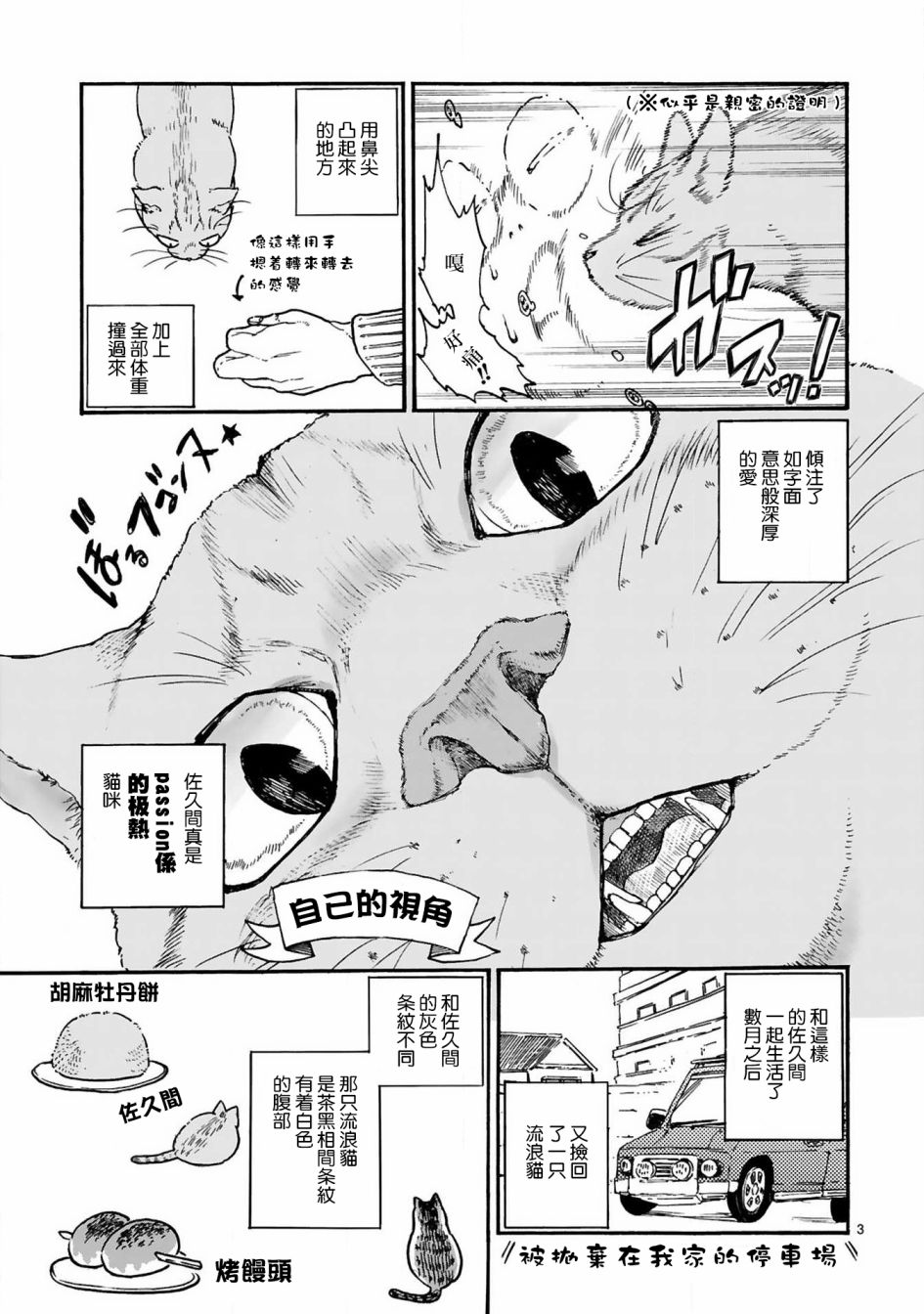 全世猫韩漫全集-第02话无删减无遮挡章节图片 