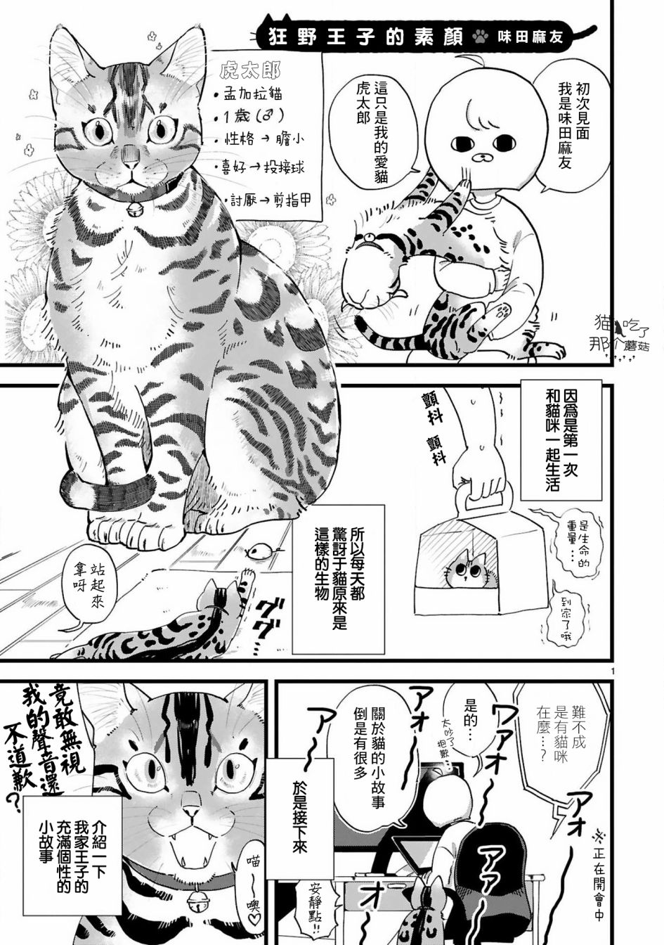 全世猫韩漫全集-第04话无删减无遮挡章节图片 