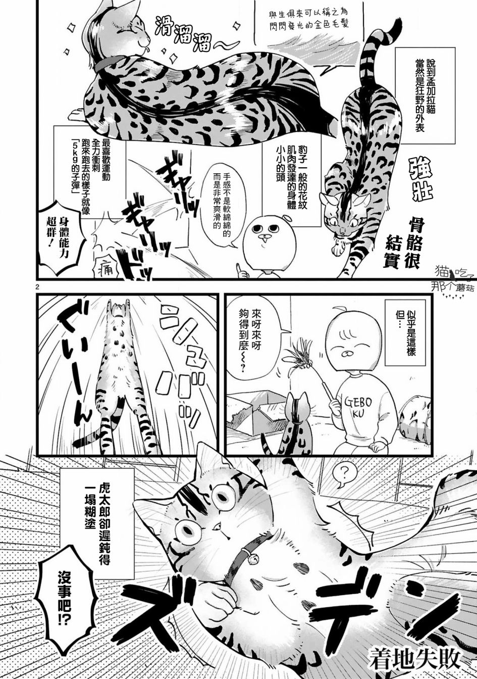 全世猫韩漫全集-第04话无删减无遮挡章节图片 