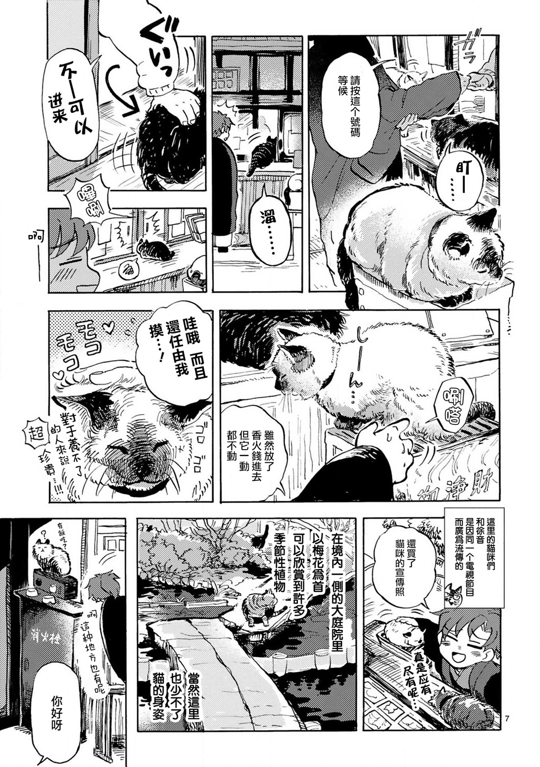 全世猫韩漫全集-第06话无删减无遮挡章节图片 