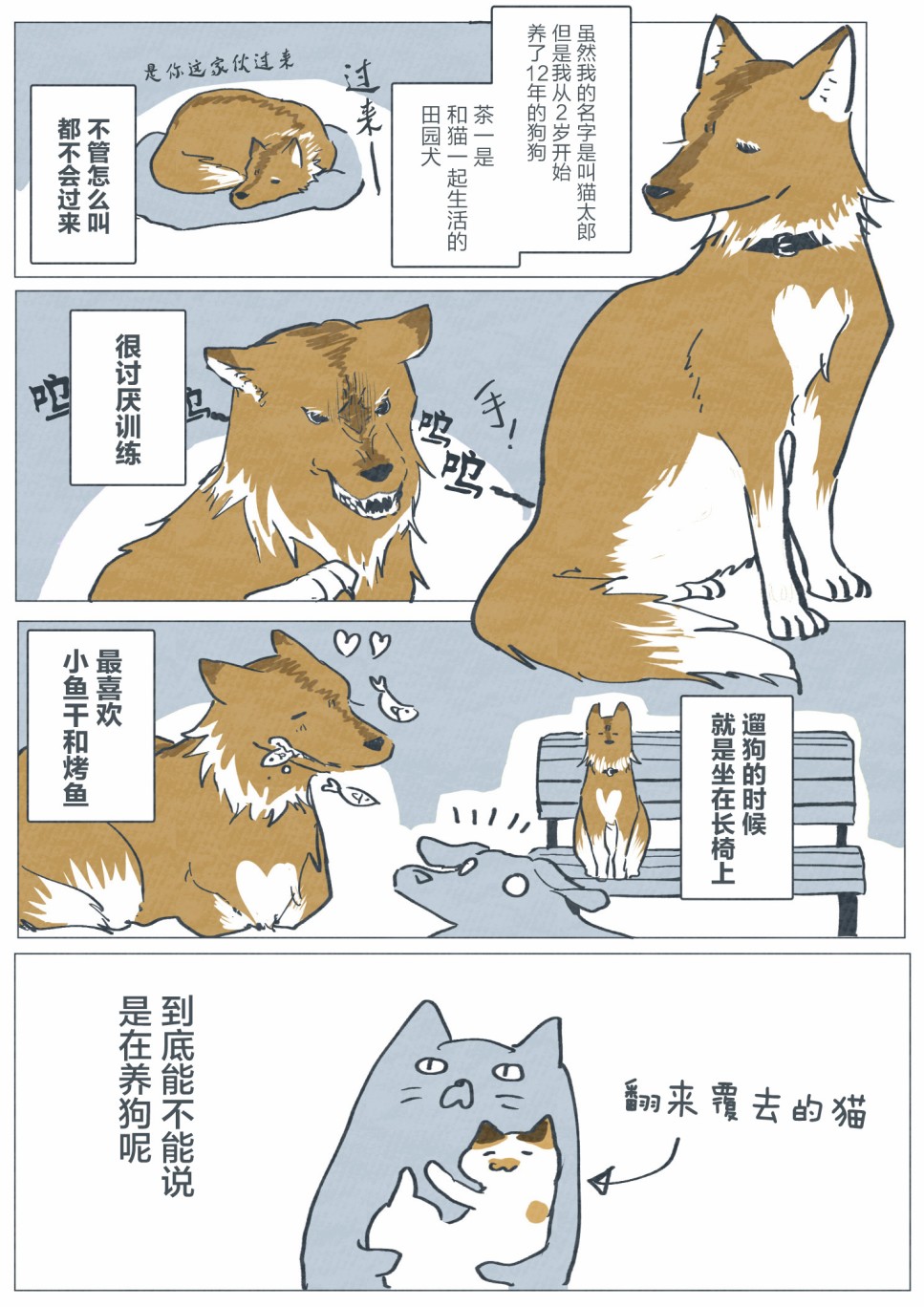 与猫的生活韩漫全集-短篇无删减无遮挡章节图片 