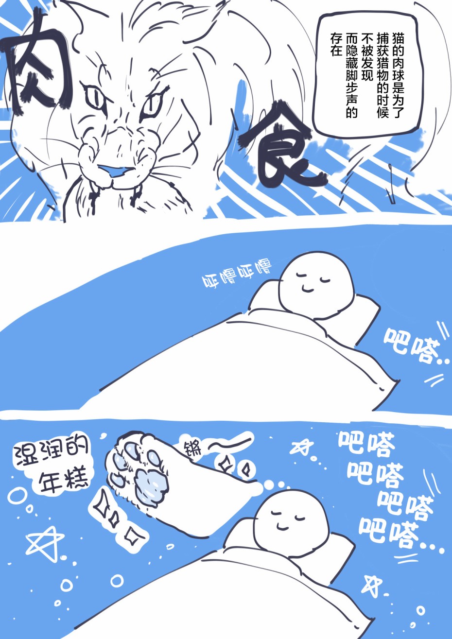 与猫的生活韩漫全集-短篇无删减无遮挡章节图片 