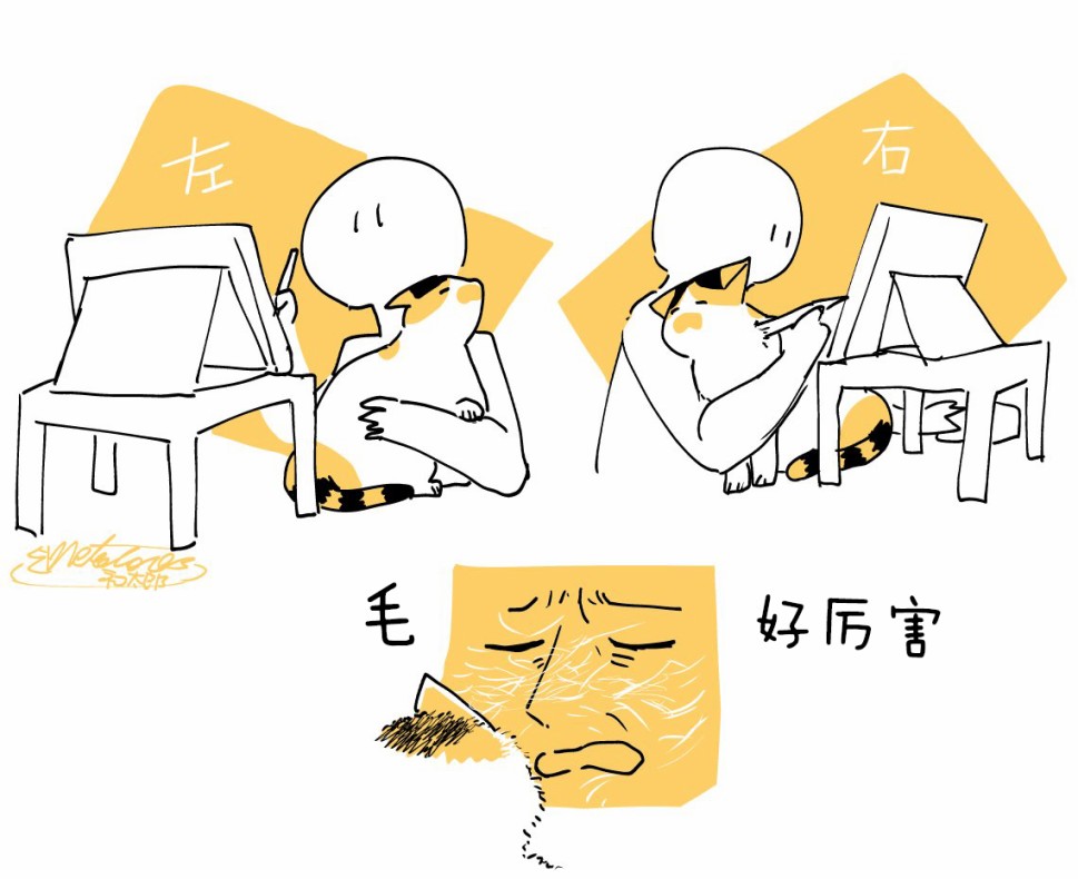 与猫的生活韩漫全集-短篇无删减无遮挡章节图片 