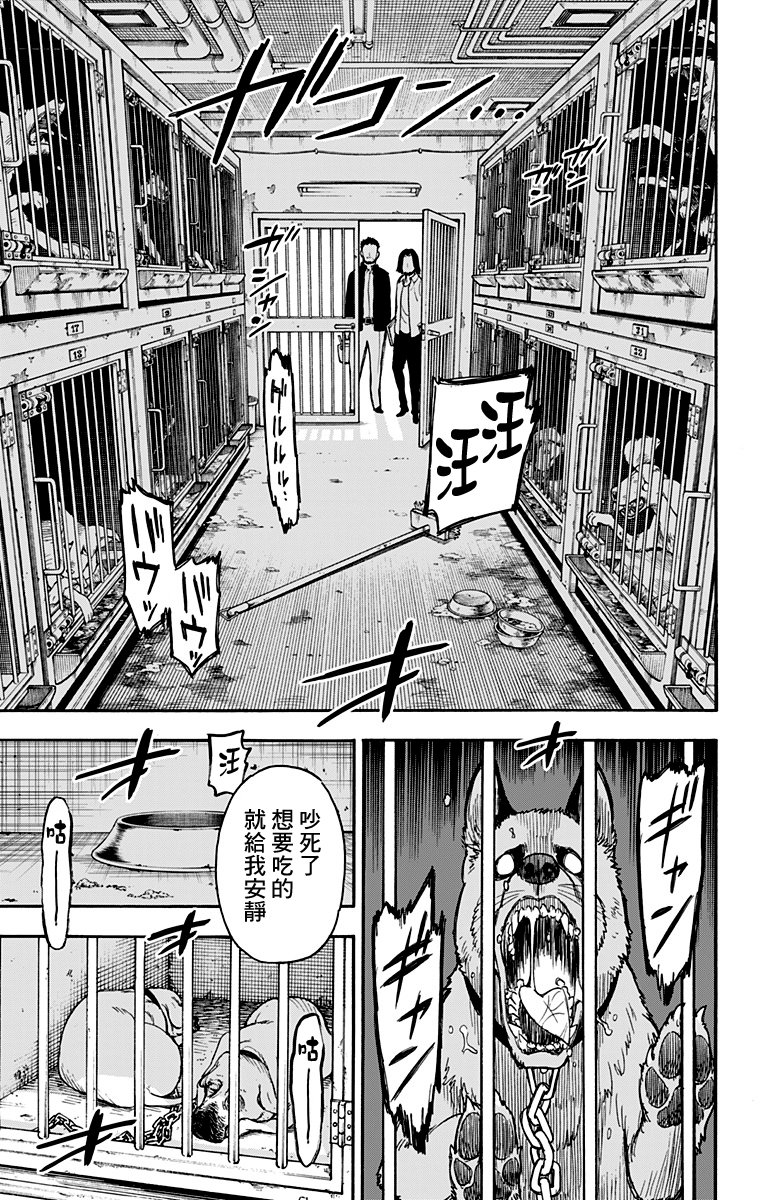 间谍过家家韩漫全集-第17话无删减无遮挡章节图片 